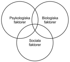 Biosocial modell